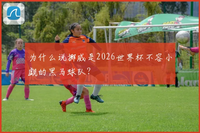 为什么说挪威是2026世界杯不容小觑的黑马球队？