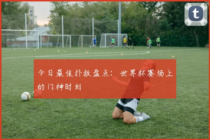 今日最佳扑救盘点:世界杯赛场上的门神时刻